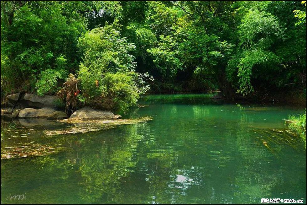 【春天,广西桂林灌阳县向您发出邀请!】如梦似幻莲溪庐 - 游山玩水 - 临汾生活社区 - 临汾28生活网 linfen.28life.com