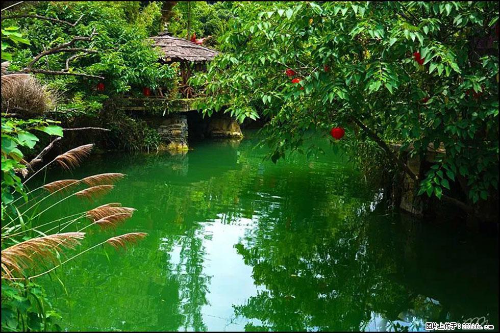 【春天,广西桂林灌阳县向您发出邀请!】如梦似幻莲溪庐 - 游山玩水 - 临汾生活社区 - 临汾28生活网 linfen.28life.com