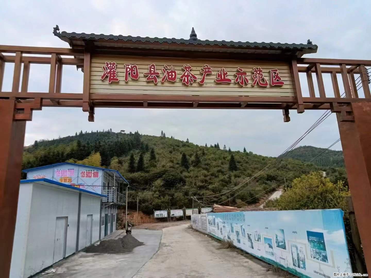 【灌阳县油茶产业示范区】一个有着充实的精神生活的人，对待身外之物自会有一种淡泊的态度 - 美食天地 - 临汾生活社区 - 临汾28生活网 linfen.28life.com