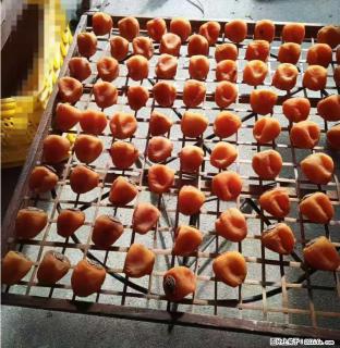 广西桂林平乐桥亭【柿饼之乡】2025年纯手工制作、无任何添加剂的第一批柿饼准备上市了，欢迎联系订购！ - 临汾28生活网 linfen.28life.com