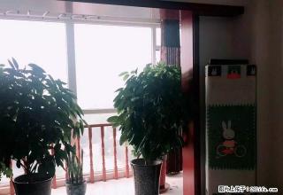 出租：同鑫乐园，电梯房，3个空调，拎包入住 - 临汾28生活网 linfen.28life.com