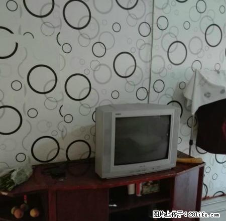 秦属路印染巷,拎包入住 - 房屋出租 - 房屋租售 - 临汾分类信息 - 临汾28生活网 linfen.28life.com