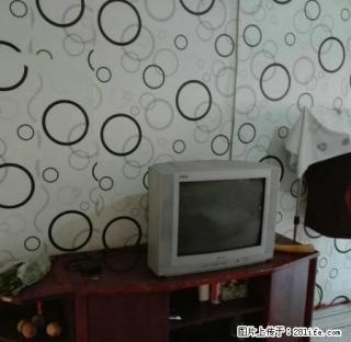 秦属路印染巷，拎包入住 - 临汾28生活网 linfen.28life.com