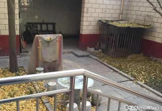 益民路别墅，上下三层，可坐办公室，也可住人！！！ - 临汾28生活网 linfen.28life.com