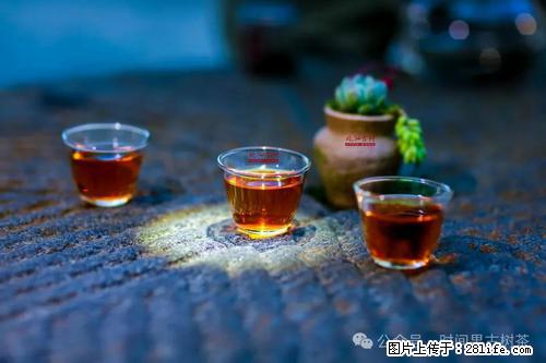 时间果百年古树2025年春红茶 - 购物交流 - 临汾生活社区 - 临汾28生活网 linfen.28life.com