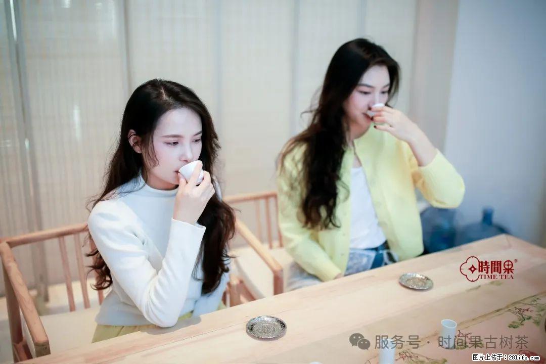 时间果百年古树龙珠普洱生茶 - 购物交流 - 临汾生活社区 - 临汾28生活网 linfen.28life.com