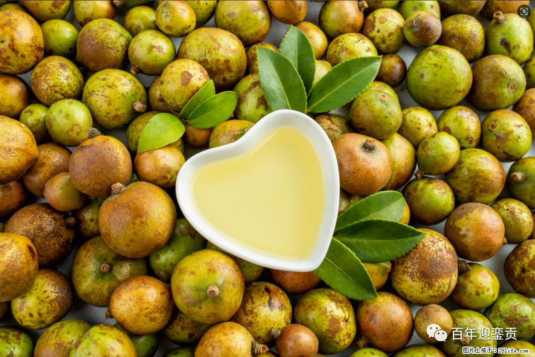 世界没有真相，只有认知，最好的食用油是中国的山茶油！ - 临汾生活资讯 - 临汾28生活网 linfen.28life.com