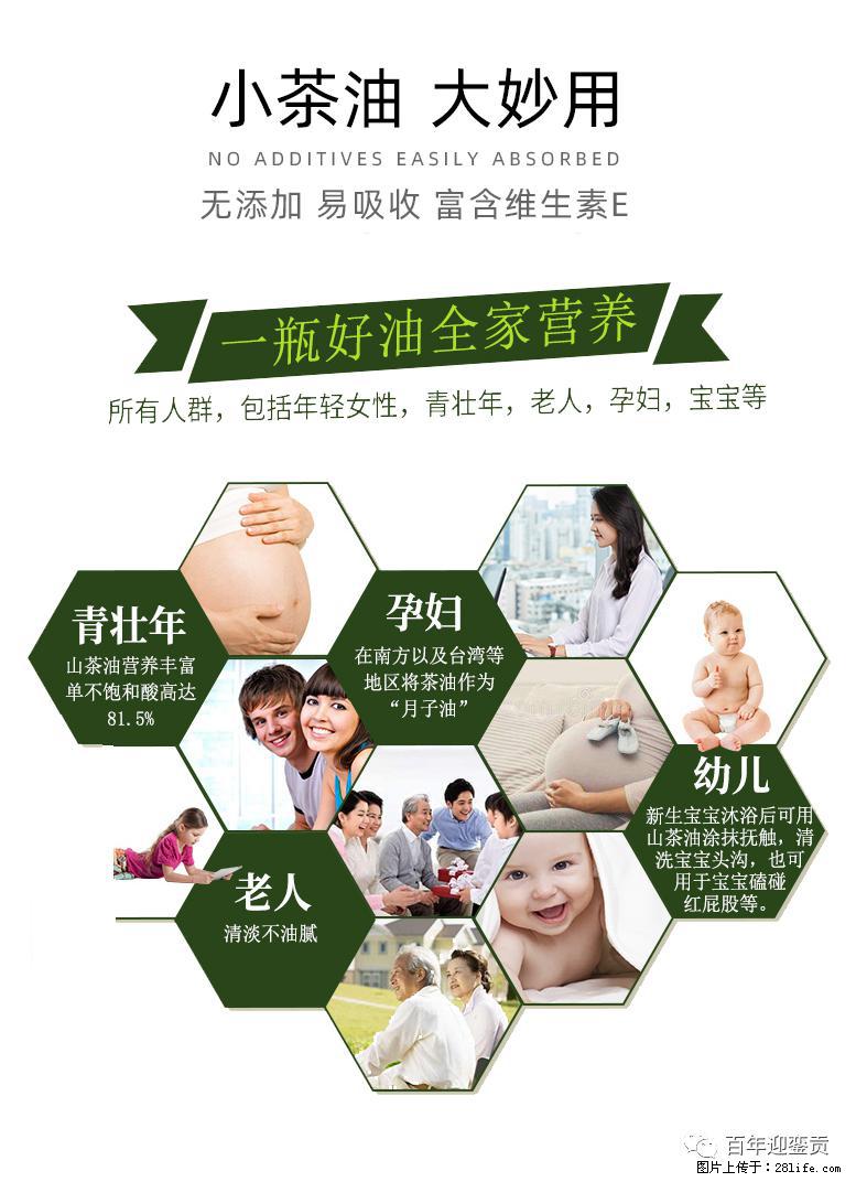 世界没有真相，只有认知，最好的食用油是中国的山茶油！ - 临汾生活资讯 - 临汾28生活网 linfen.28life.com