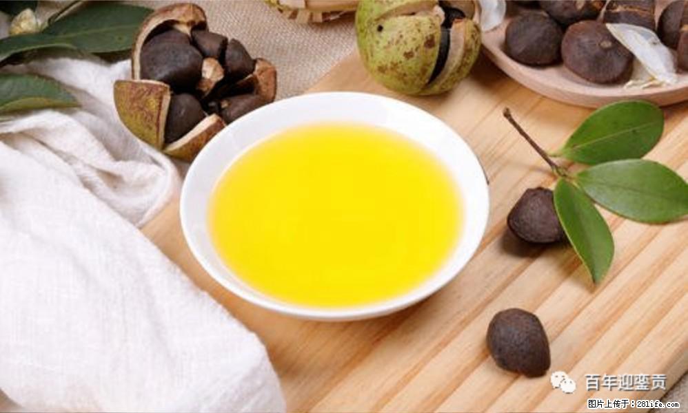 世界没有真相，只有认知，最好的食用油是中国的山茶油！ - 临汾生活资讯 - 临汾28生活网 linfen.28life.com