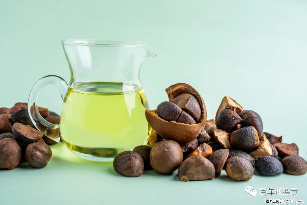 世界没有真相，只有认知，最好的食用油是中国的山茶油！ - 临汾生活资讯 - 临汾28生活网 linfen.28life.com