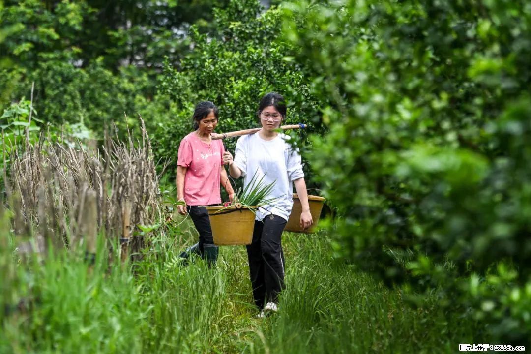 全网追的“扁担女孩”，找了一份暑假工，时薪12元 - 临汾生活资讯 - 临汾28生活网 linfen.28life.com