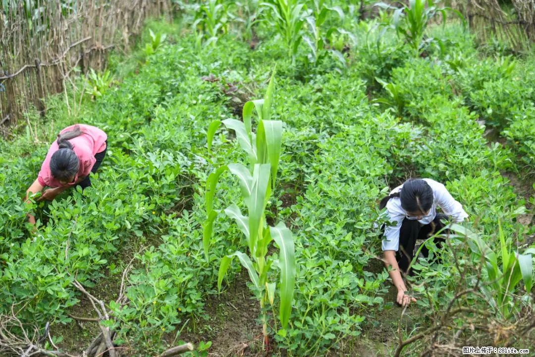 全网追的“扁担女孩”，找了一份暑假工，时薪12元 - 临汾生活资讯 - 临汾28生活网 linfen.28life.com