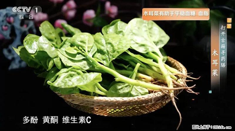 比牛奶补钙还厉害！凉血解毒、稳血糖...这菜冬天必吃，很多人却当草 - 临汾生活资讯 - 临汾28生活网 linfen.28life.com