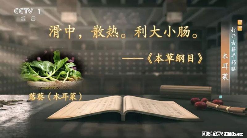 比牛奶补钙还厉害！凉血解毒、稳血糖...这菜冬天必吃，很多人却当草 - 临汾生活资讯 - 临汾28生活网 linfen.28life.com