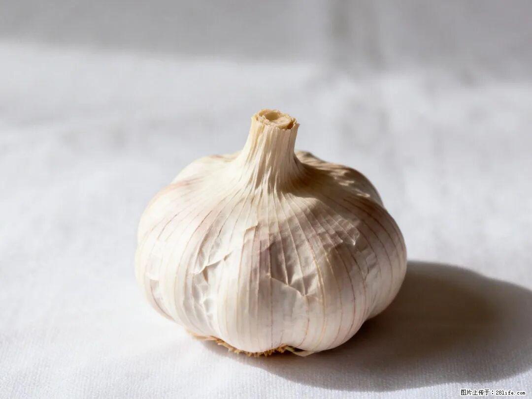 关于大蒜，除了“天然抗生素”，这4个谣言更该警惕! - 临汾生活资讯 - 临汾28生活网 linfen.28life.com