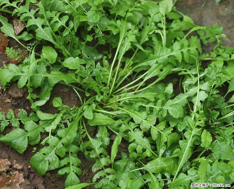 这些蔬菜是“天然钙片”，这6种被医生重点推荐 - 临汾生活资讯 - 临汾28生活网 linfen.28life.com